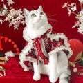 PETACULAR Luxury Set Zhaojun Beauty Han-Style Clothes - Pets Villa
