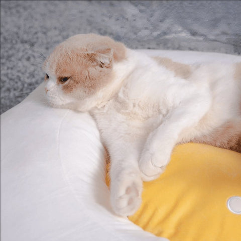 PURLAB Pouched Egg Pet Bed - Pets Villa