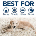 SIMPLE SOLUTION Extreme Dog Stain & Odour Remover Spary 500ml - Pets Villa