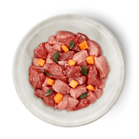 TERRA FELIS Adult Cat Beef & Rabbit - Pets Villa