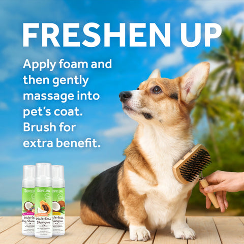 TROPICLEAN Papaya and Coconut Waterless Shampoo for Pets - Pets Villa